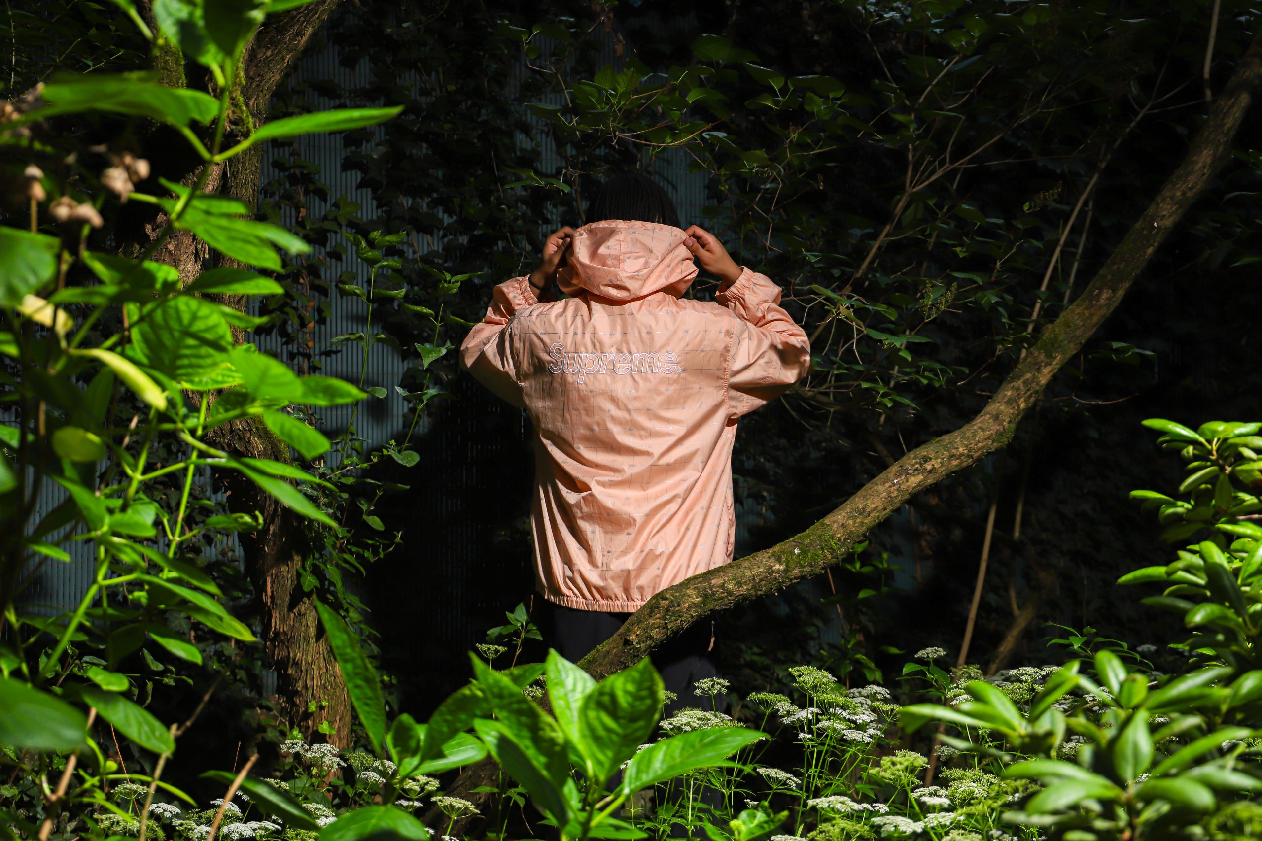 Philipparltdesign-67